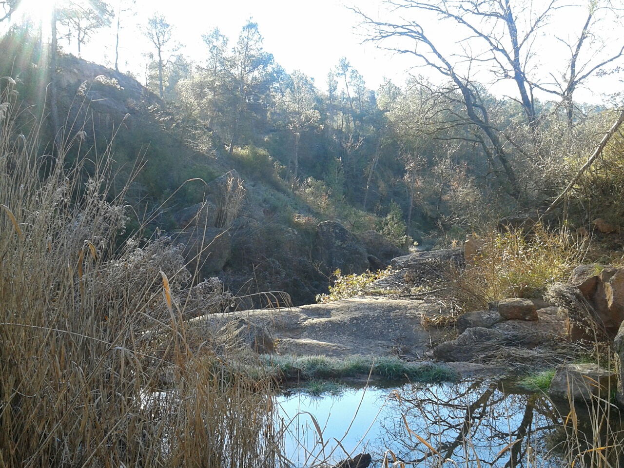 20150216 094042 resized