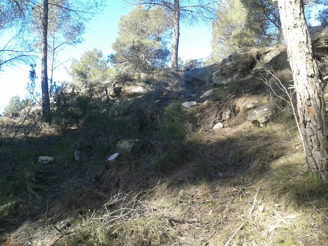 20150216 101532 resized